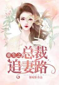 总裁重生追妻文