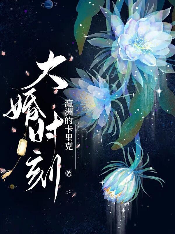 大婚当日 大婚当日