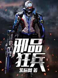 邪品狂兵 紫辰风 邪品狂兵 紫辰风