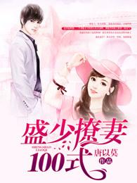 盛少撩妻100式360文学 盛少撩妻100式360文学