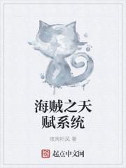 海贼之天赋重置系统 海贼之天赋重置系统