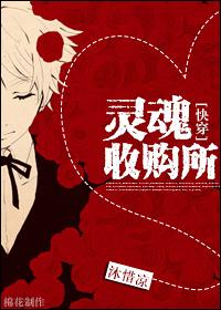 灵魂收购 灵魂收购