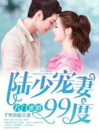 陆少宠妻99度完结 陆少宠妻99度完结