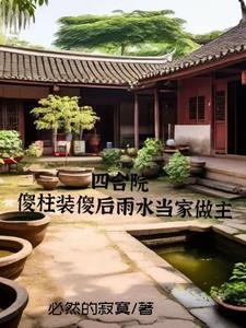 四合院的小雨 四合院的小雨