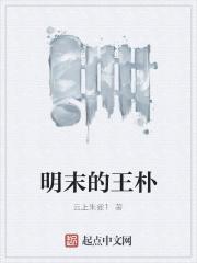 明末王朴铁血大明 明末王朴铁血大明