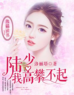高攀不起的大佬是我的陆执 高攀不起的大佬是我的陆执