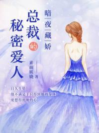 暗夜藏娇总裁的秘密爱人 暗夜藏娇总裁的秘密爱人