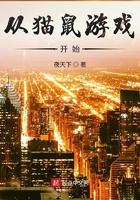猫鼠游戏叫什么 猫鼠游戏叫什么
