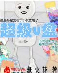 超级u盘维护工具箱 早春新柳 超级u盘维护工具箱 早春新柳