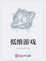 低维游戏评论