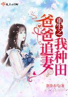 重生之爸爸追妻我种田免费阅读