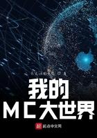 我的世界大大
