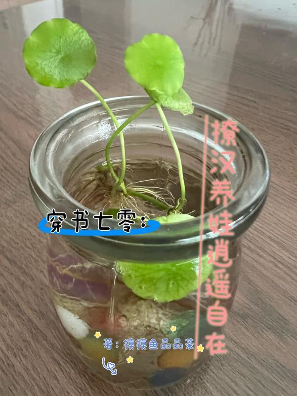 穿书七零推荐 穿书七零推荐