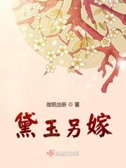 黛玉另嫁夫婿陈愉最新章节列表