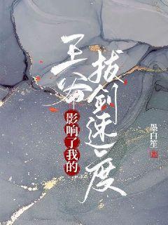 王爷影响了我的拔剑速度 墨白笙 王爷影响了我的拔剑速度 墨白笙