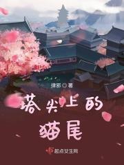 绝世护美兵王免费完整版