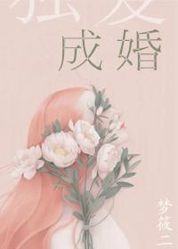 独宠成婚 独宠成婚